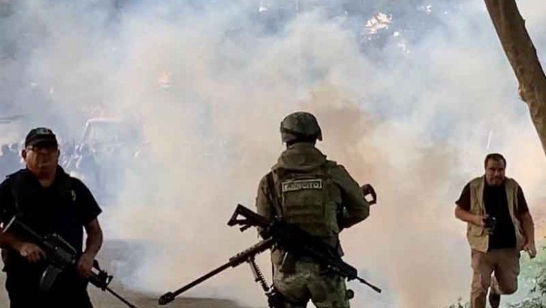 Sierra madre entre el café de altura y la narcoviolencia