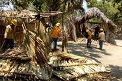 CONANP recupera 100 hectáreas en la reserva de la biosfera La Encrucijada