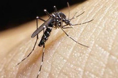 Chiapas registra muertes por dengue