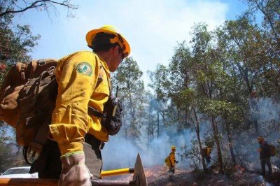 Reporta 72 incendios forestales en medio de una fuerte onda de calor en México
