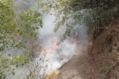 ¡Arde México! Se reportan 126 incendios forestales en 20 entidades del país