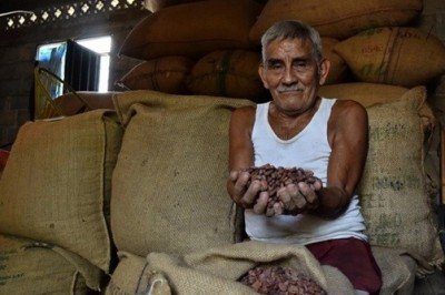 El cacao supera los 10 mil dólares por tonelada