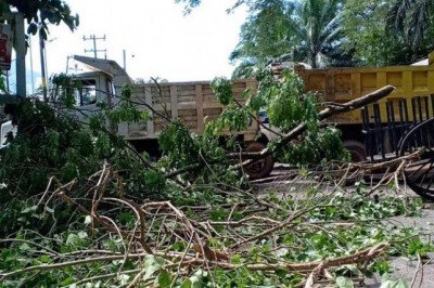 La Sierra y  Frailesca en constante disputa de grupos criminales